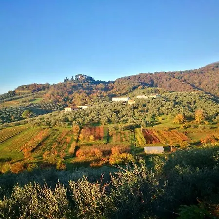 La Casa Di Francesca Tra Le Colline Di In Toscana Apartment *